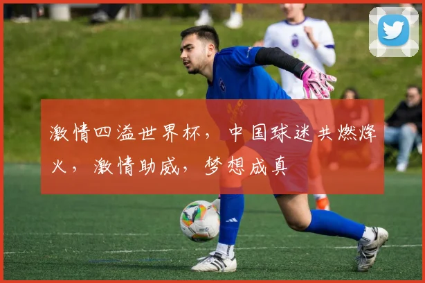 激情四溢世界杯，中国球迷共燃烽火，激情助威，梦想成真