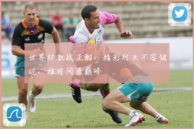 世界杯激战正酣，精彩对决不容错过，谁将问鼎巅峰